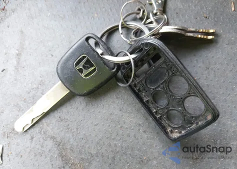 2007 Honda Odyssey Ex-L from USA, damaged, VIN 5FNRL38647B426620